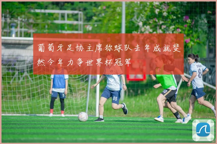 葡萄牙足协主席称球队去年成就斐然今年力争世界杯冠军